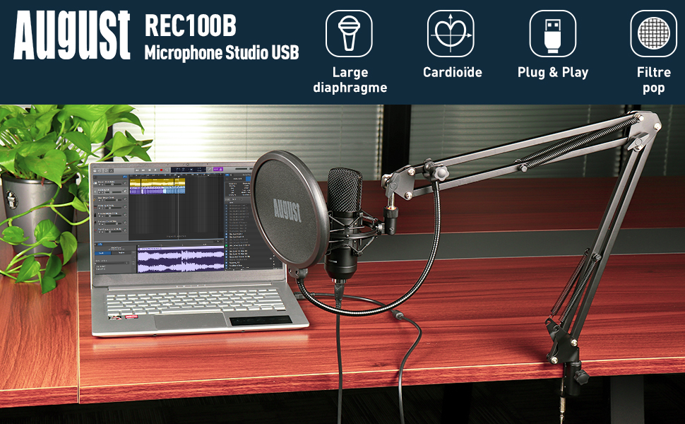 Micro condensateur cardioide August REC100