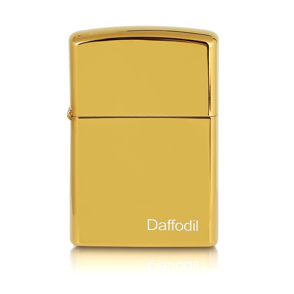 Daffodil EC100 – Mechero eléctrico – Encendedor USB Resistente al Viento